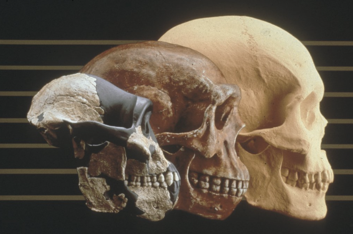 Фото: Arizona State University
