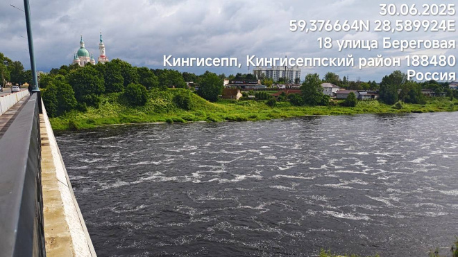 Фото: Госэконадзор Ленобласти