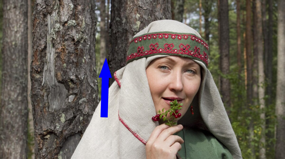    Тайна исчезнувшего народа меря кто стер их с лица земли