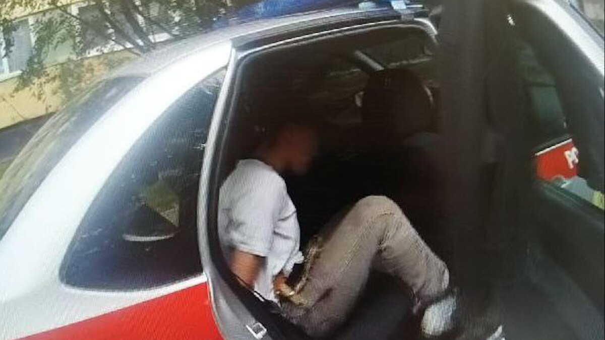    Фото: t.me/rosgvard78