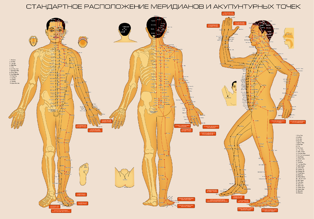 Из ЯндексКартинок 