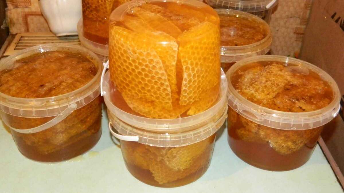 Фото:Яндекс Картинки