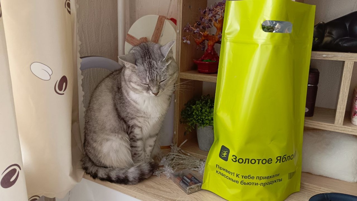 Немного котанов вам в ленту, листайте далее 👉