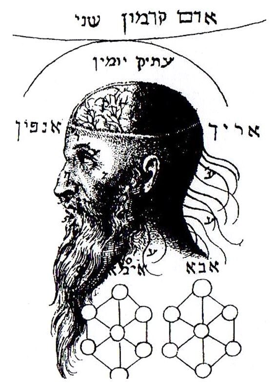 Аллегоричный рисунок Парцуф АРИХ АНПИН из эзотерической  книги «Каббала Денудата», немецкого протестанта-каббалиста Кристиана Кнорра фон Розенрота. ТИКУНАЙ ДИКНА = «Исправление Бороды». Отображение бороды Арих Анпин как 13 атрибутов милосердия.