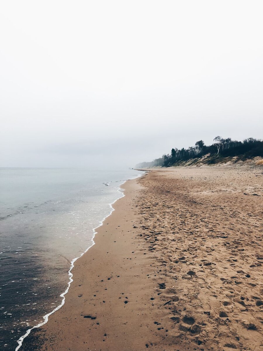 Куршская коса