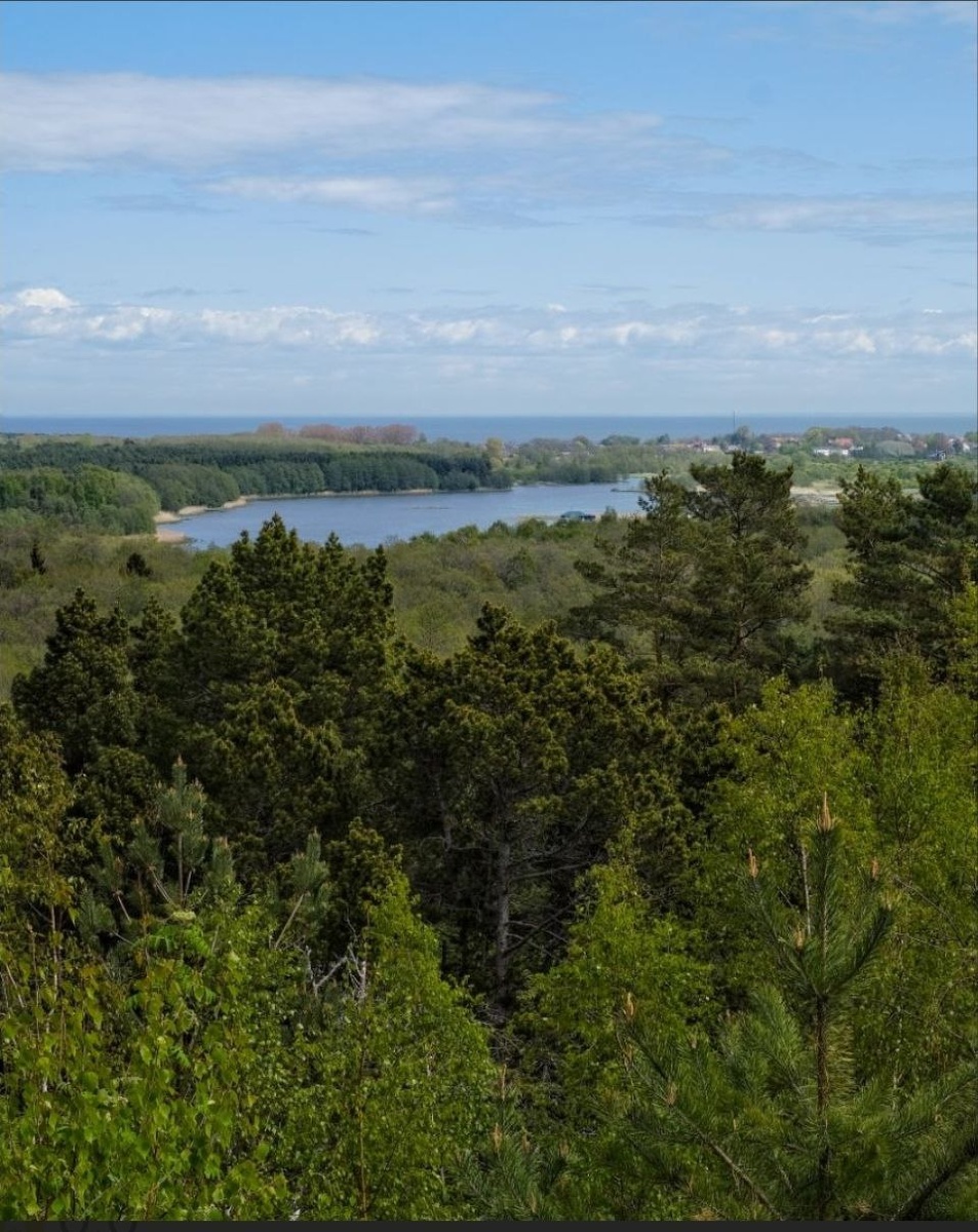 Вид с Высоты Мюллера