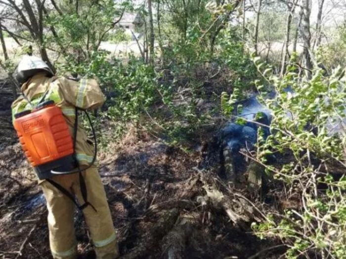 Источник фото: Соцсети