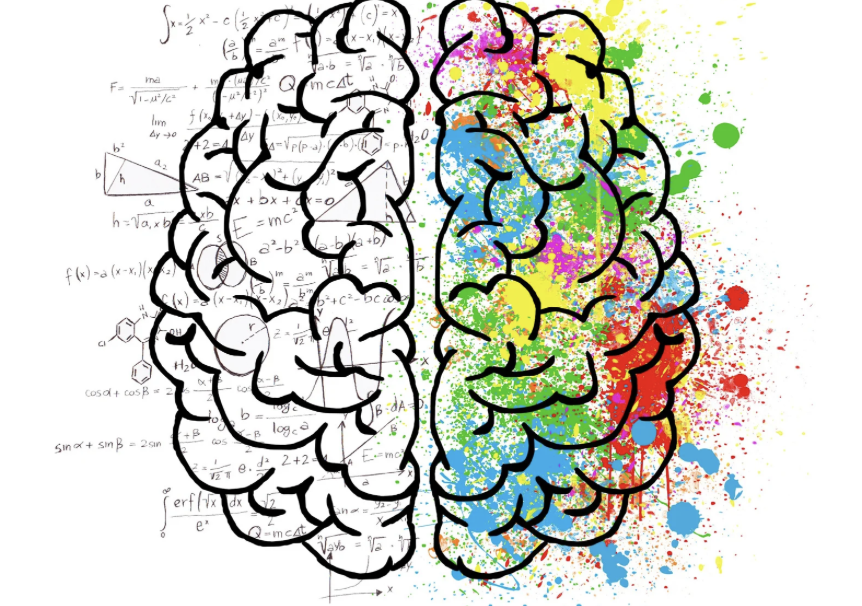 Лучше знакомый бардак, чем незнакомый порядок: почему наш мозг отвергает новое