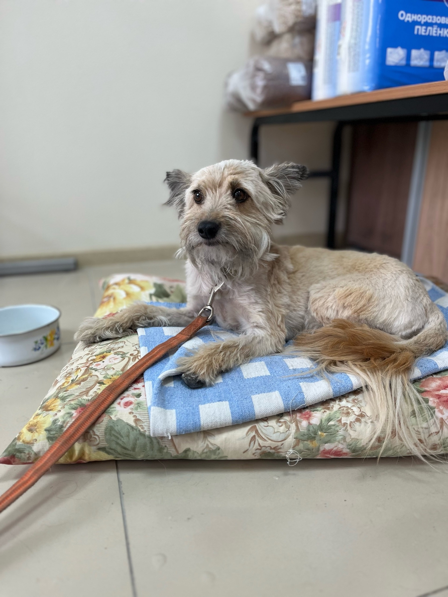 Надоело общаться с гостями акции, решила немного отдохнуть