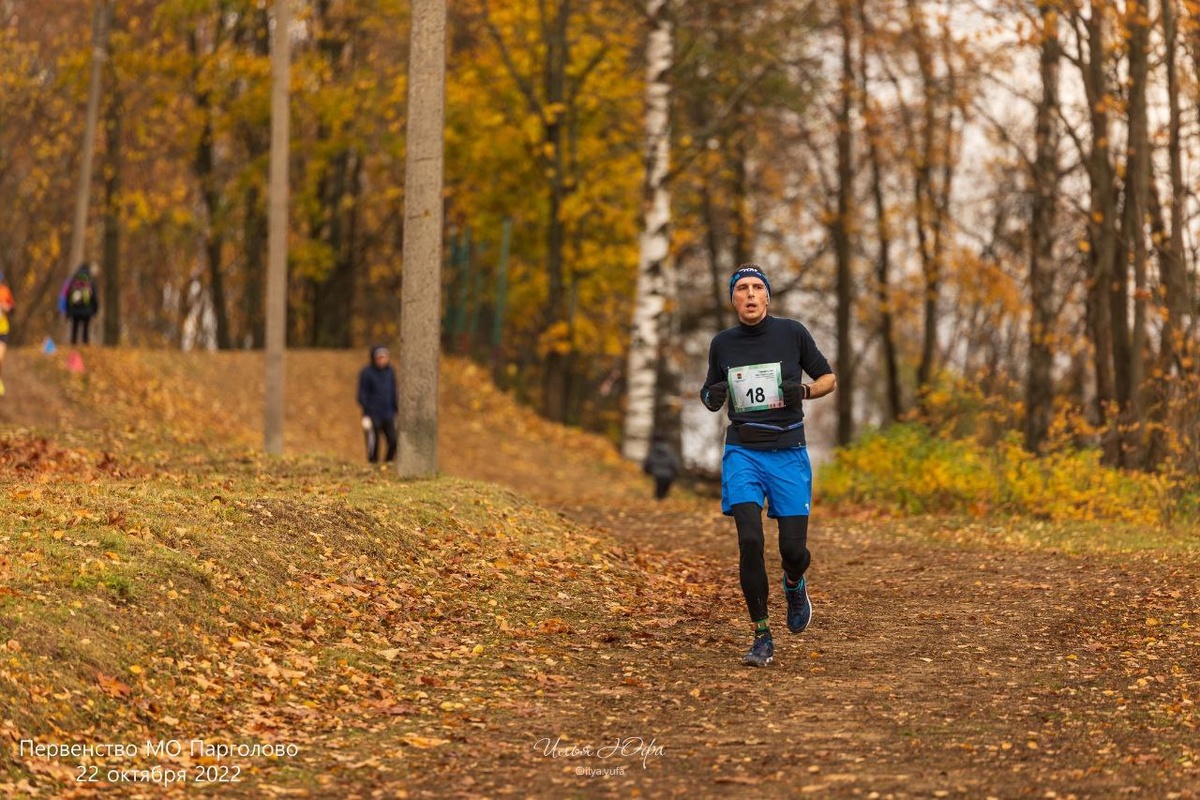 Первый беговой сезон. Да, бег меняет людей...