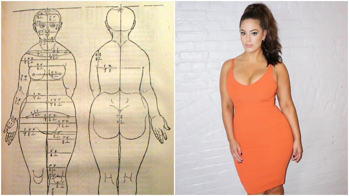 Расчеты Дюрера и Эшли Грэм. фото взято с канала Популярная наука