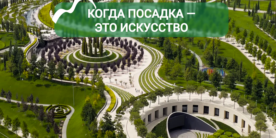 Посадка как искусство: Парк Галицкого