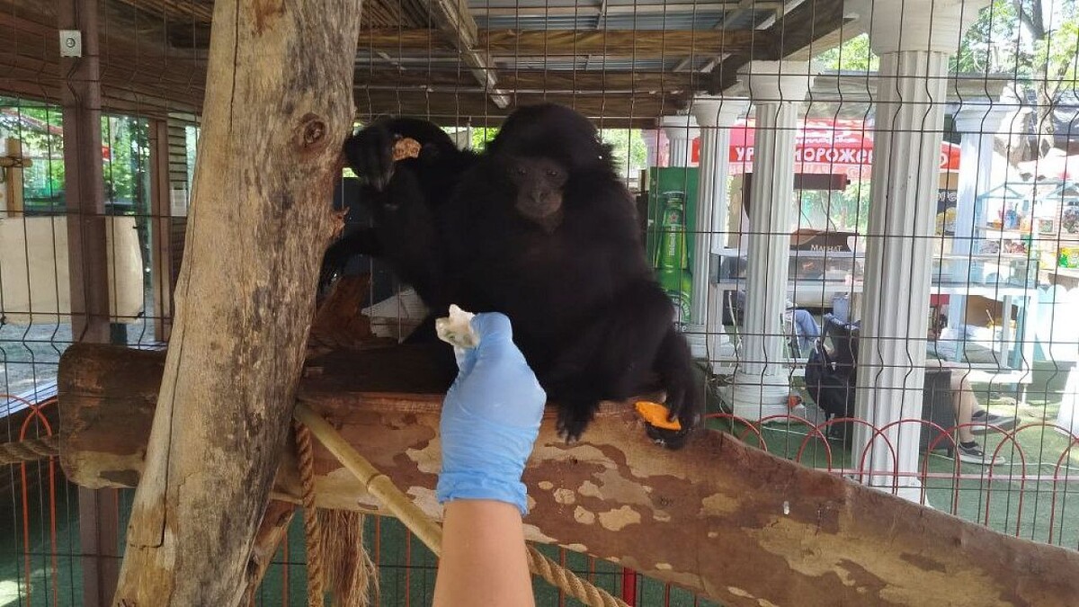    Фото: телеканал «Краснодар»