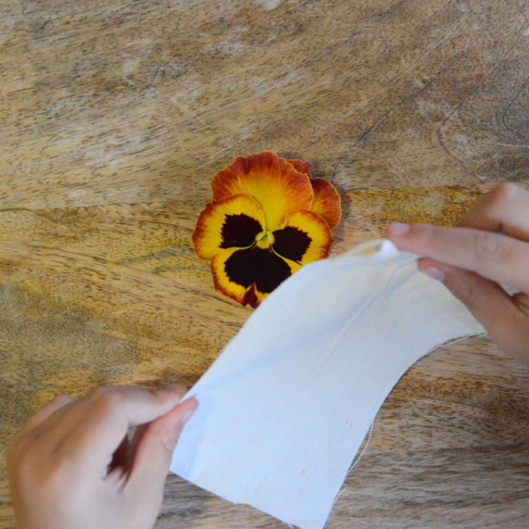 Подготовка к отпечатыванию цветка. Фото с https://artfulparent.com/