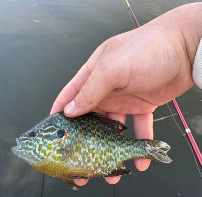    фото: соцсети Редактор