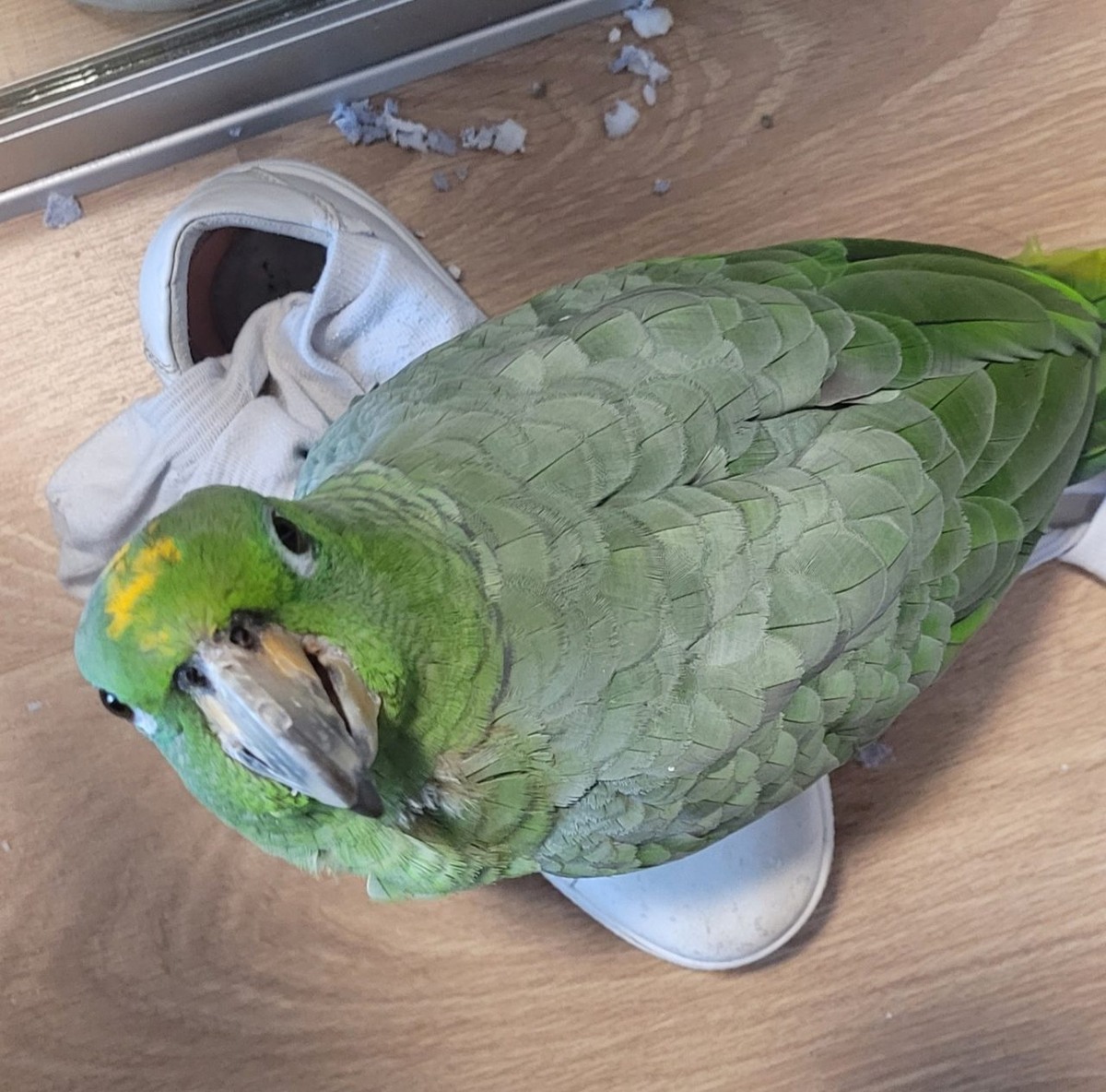    Фото: Анна Никитина