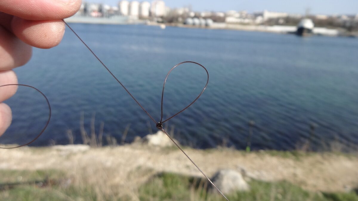 Фото автора.