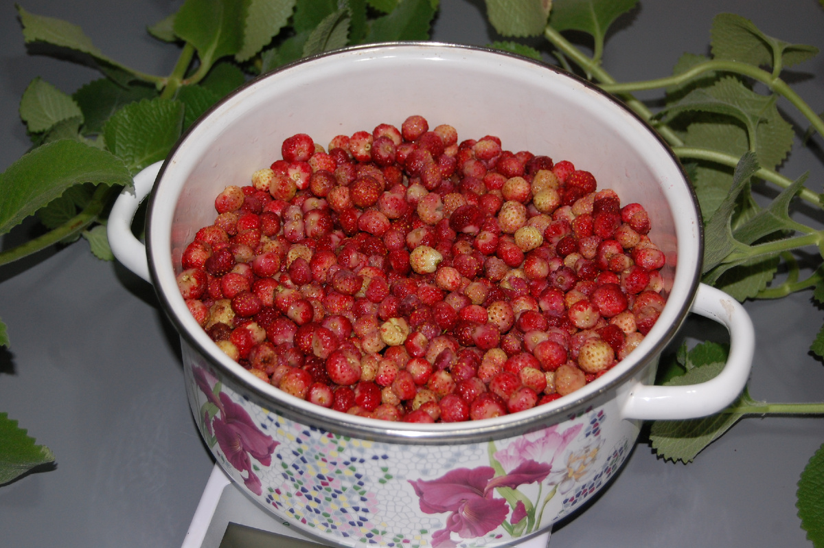 Подготовленная клубника перед варкой варенья