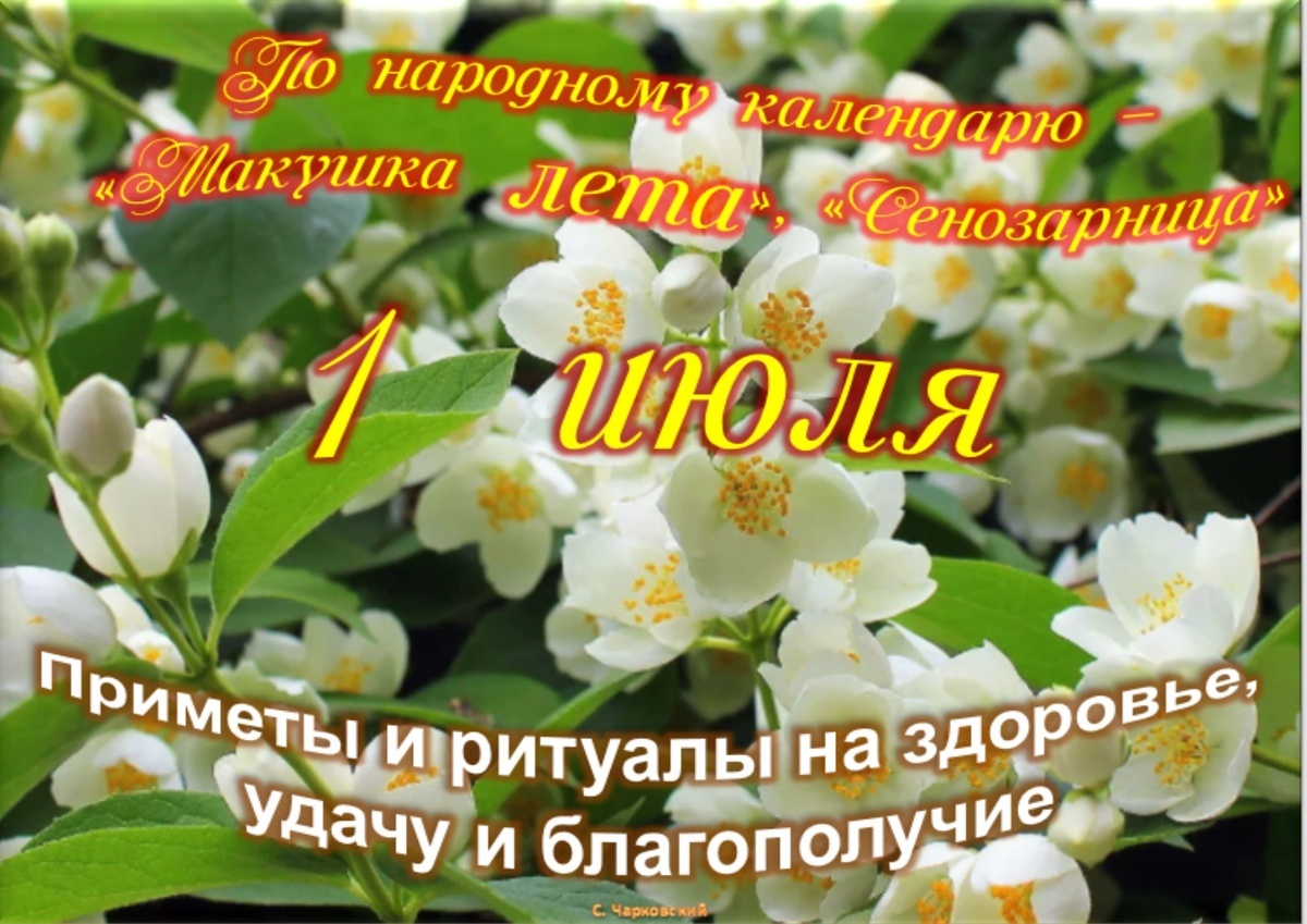 Встречаем новый день