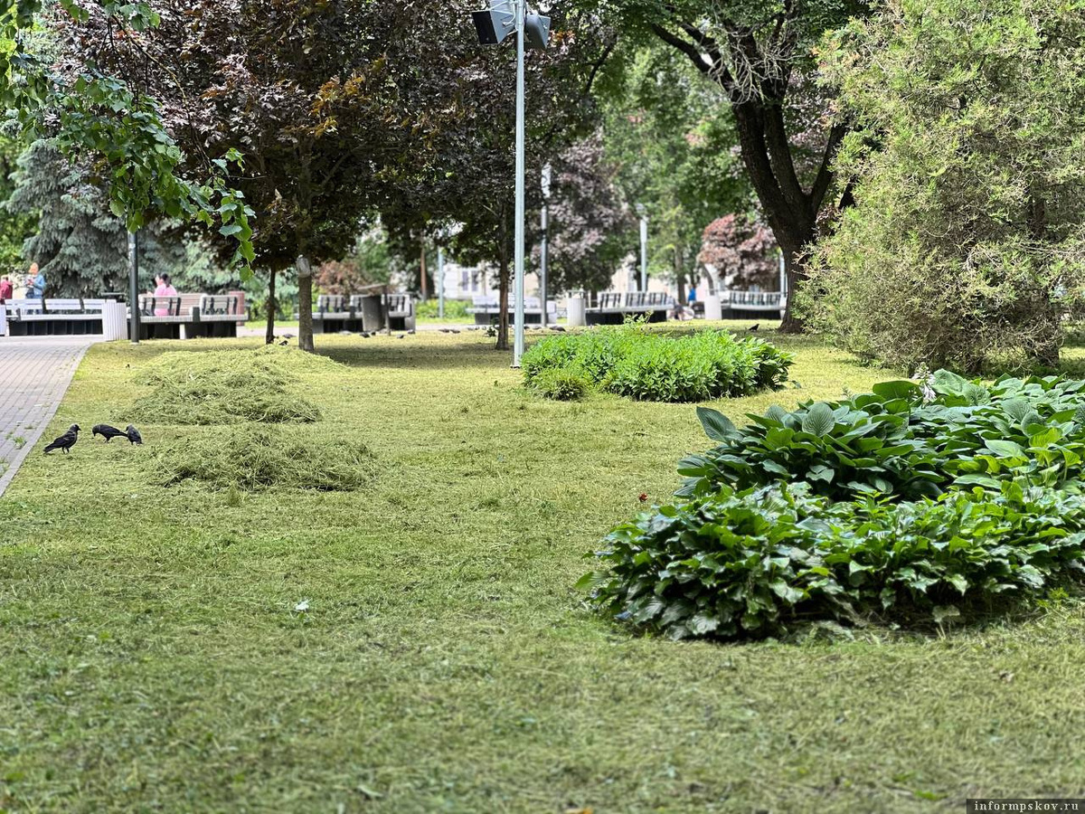 Фото из телеграм-канала Бориса Елкина