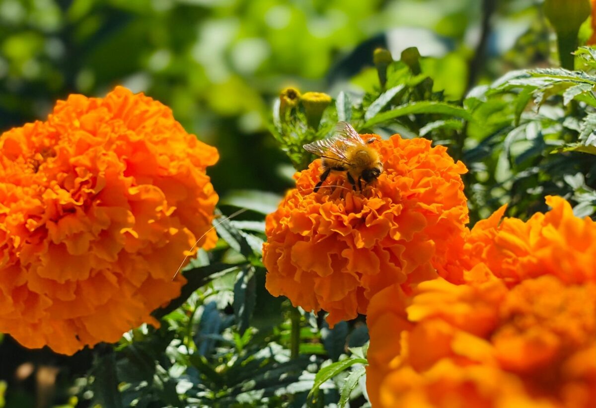    Фото: Никита Чудин. UG.RU