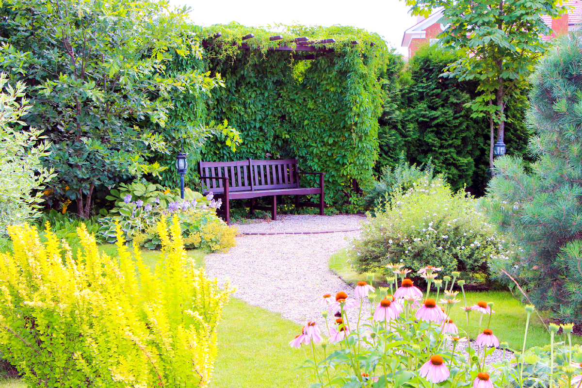 Пергола с лавочкой для посиделок в саду