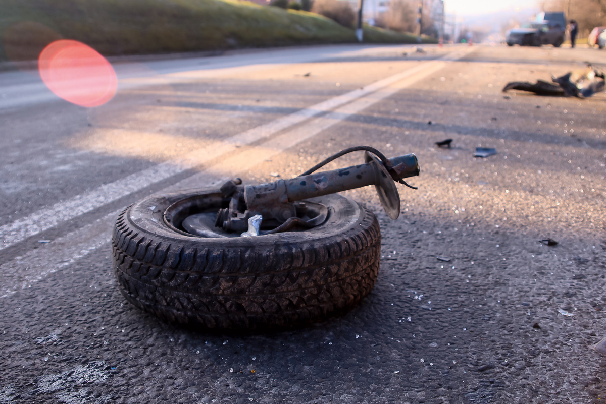 Фото Владимира Чучадеева. 