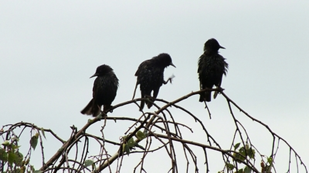    Victor Lisitsyn/Globallookpress