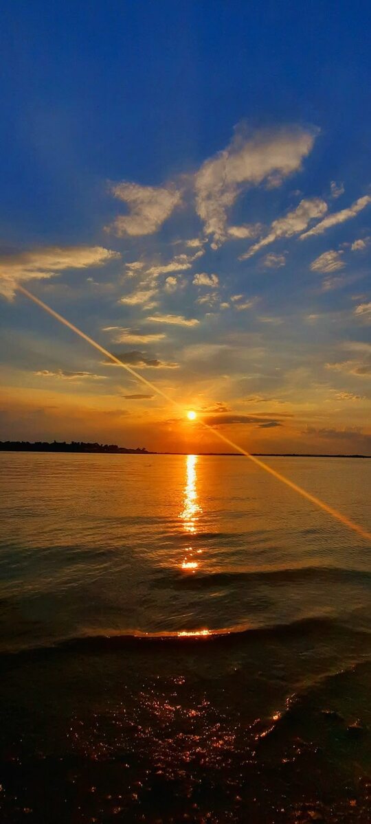 Фото из открытого источника в интернете 