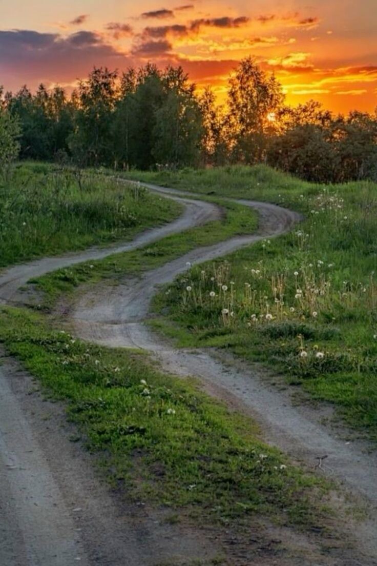 Фото из открытого источника в интернете 