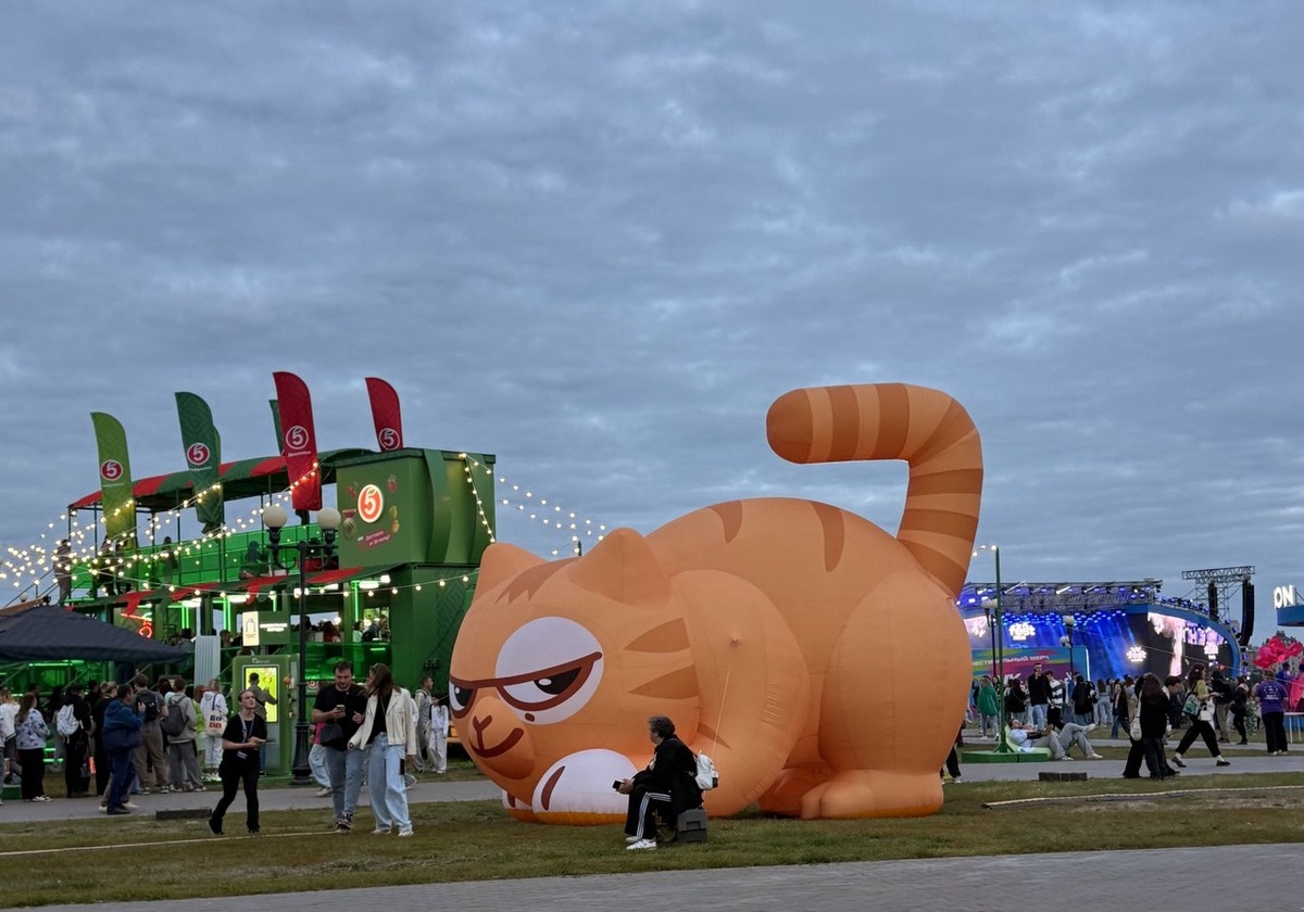 Даже кот Персик был в тот вечер в Казани