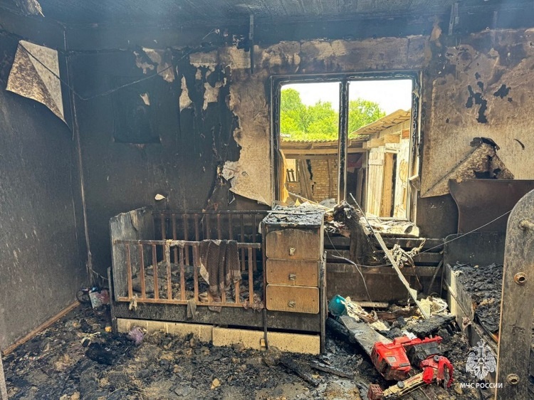    Фото ТГ-канала ГУ МЧС России по РО Татьяна Пшеничная