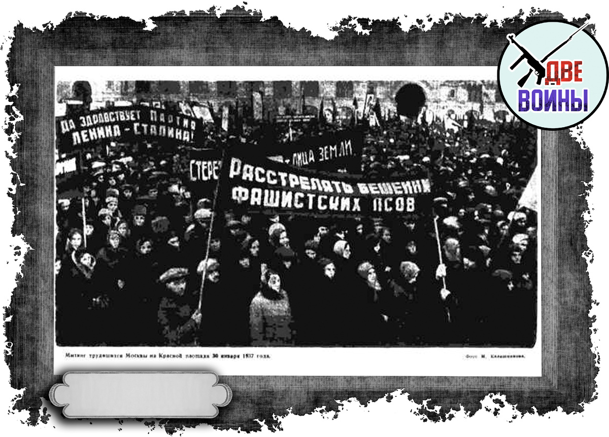 Фото в свободном доступе.