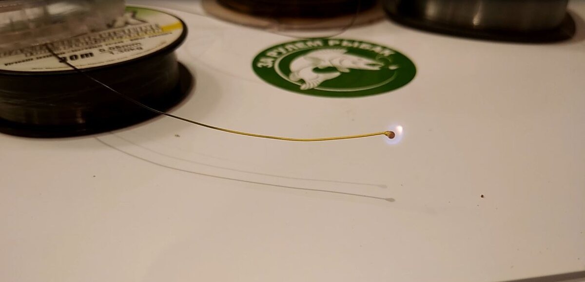 Фото автора.