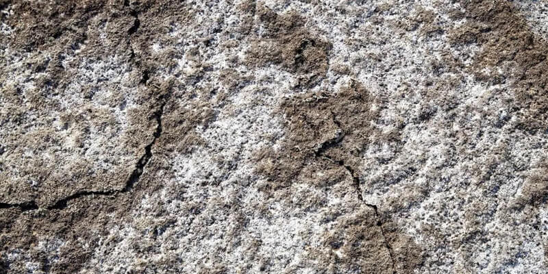 Засоленная почва. Фото: https://asm-agro.ru/articles/zasolenie-pochv-globalnaya-selskohozyajstvennaya-problema/?utm_source=pinterest&utm_campaign=06_07_2023