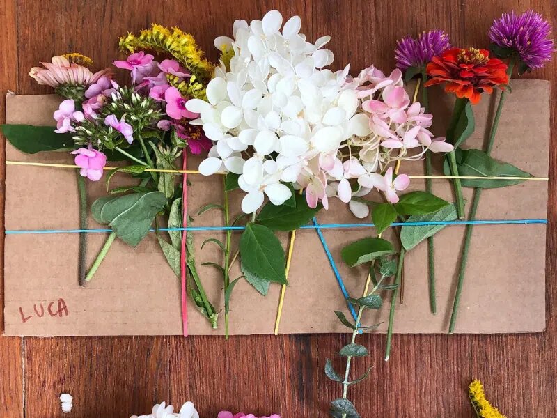 Природный коллаж. Фото с https://artfulparent.com/