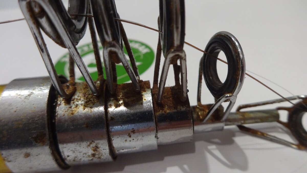 Фото автора.