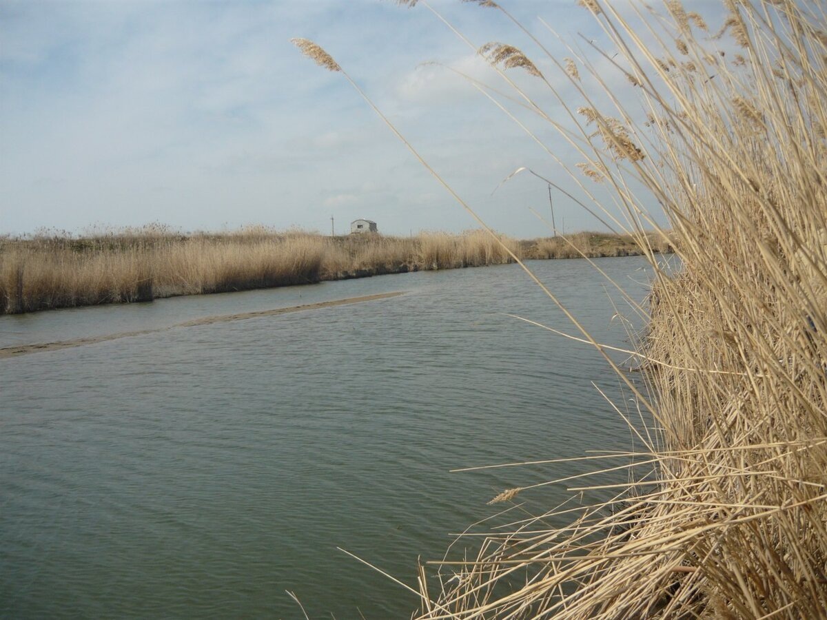 Фото автора.