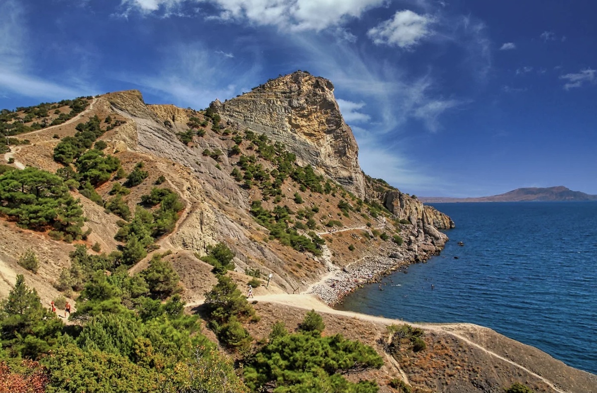 Фото взято с Яндекс.Картинки
