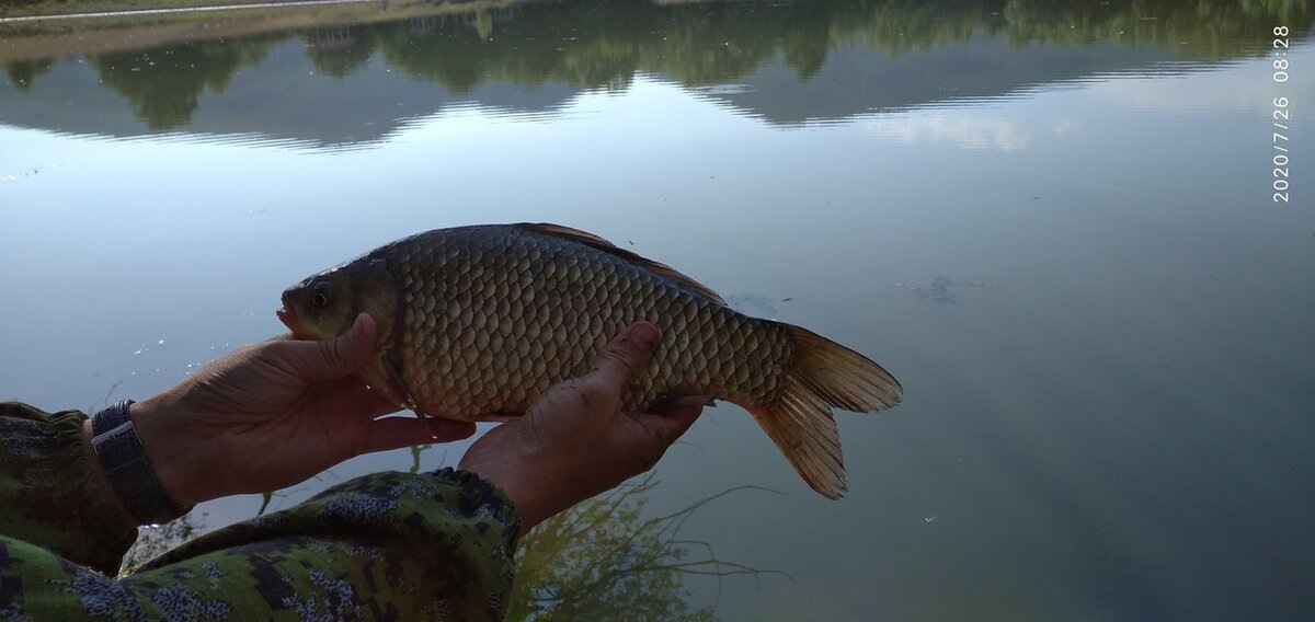 Фото автора.