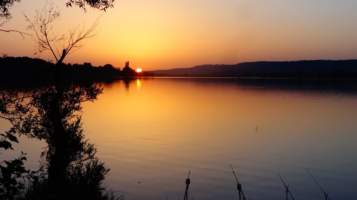 Фото автора.