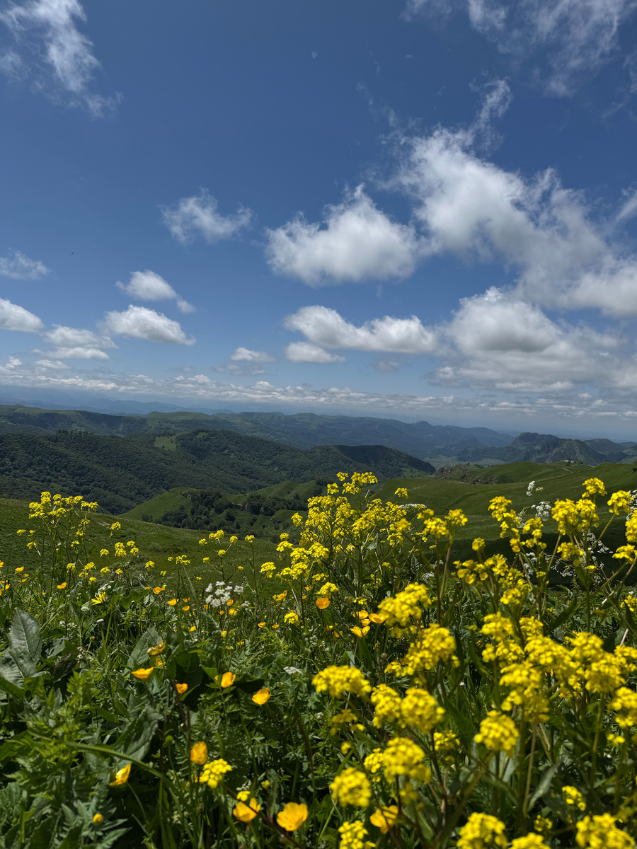 Перевал Гумбаши