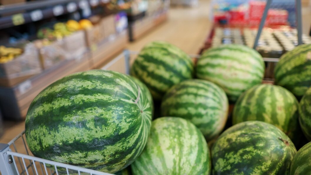    Фото: Belkin Alexey/news.ru/Globallookpress