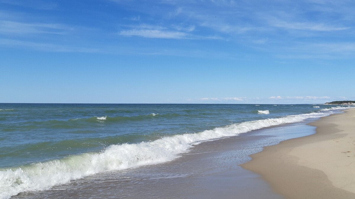     Источник: vostokmedia.com