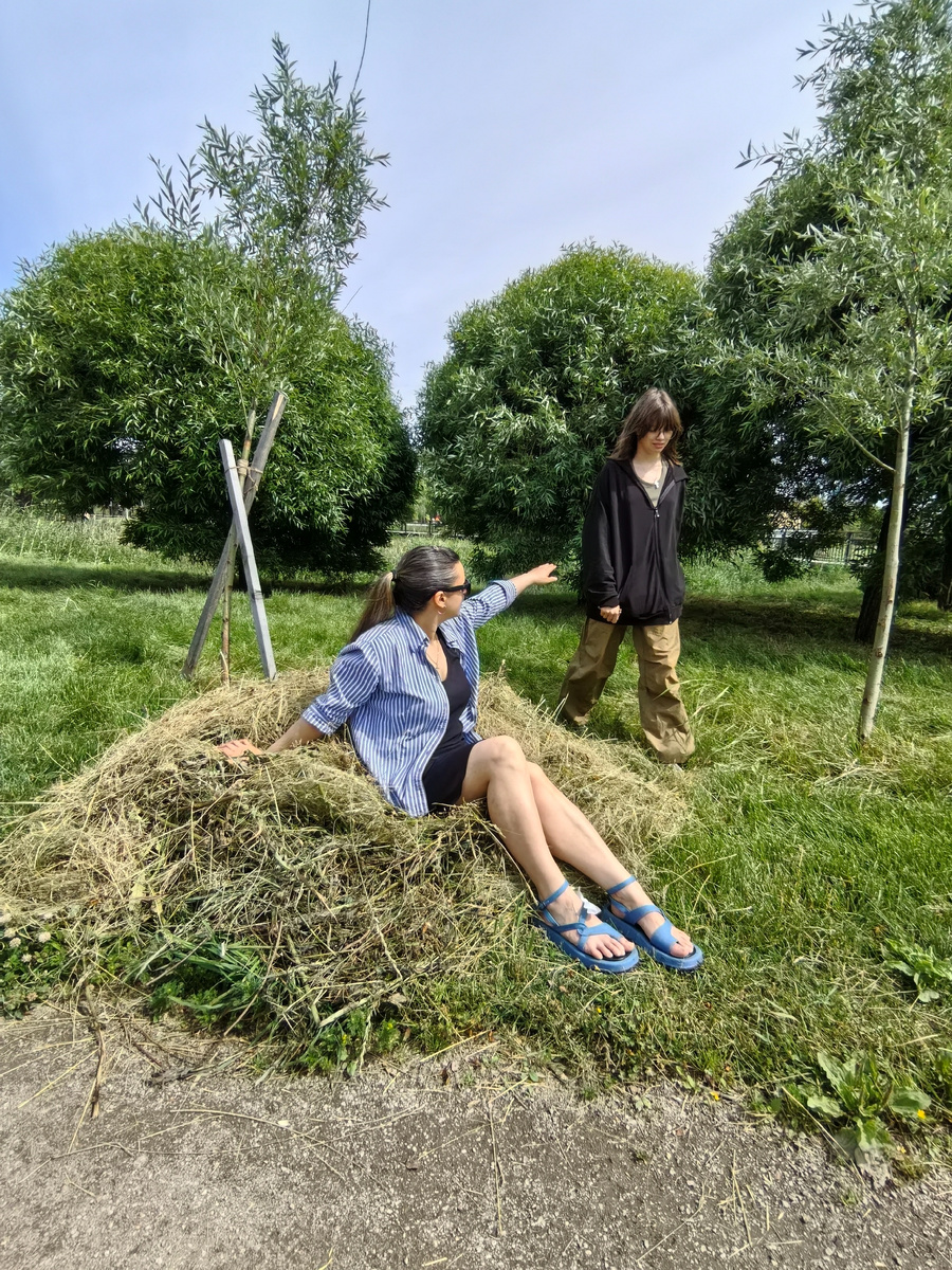 Парк Авиаторов. Московский район СПБ. 