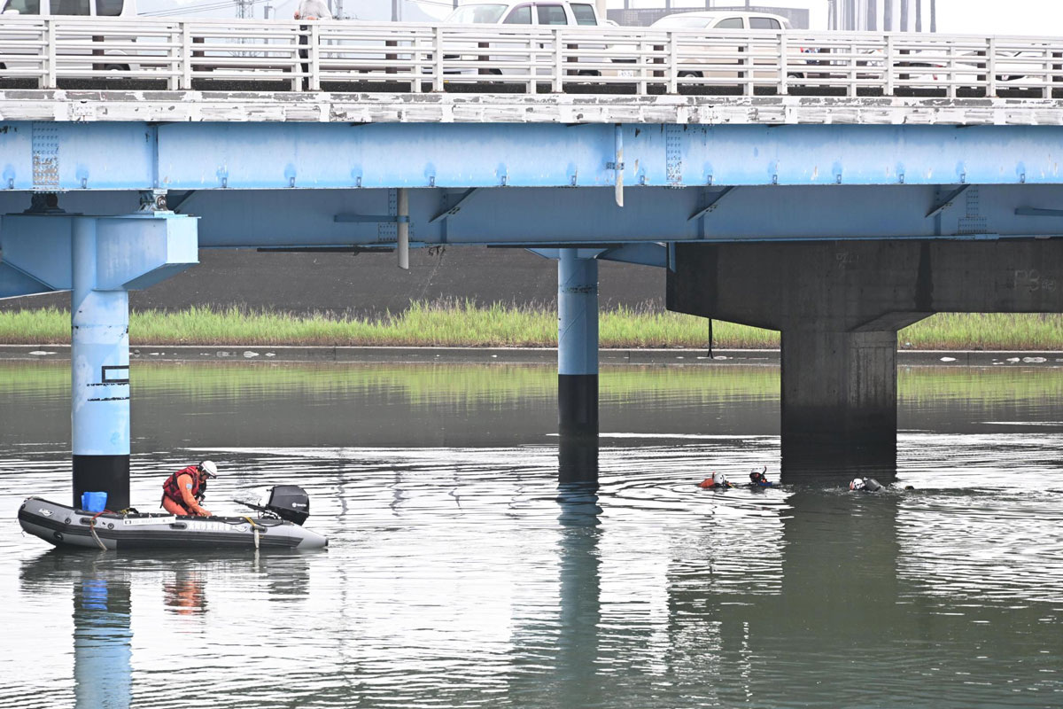 Фото из свободного источника интернета