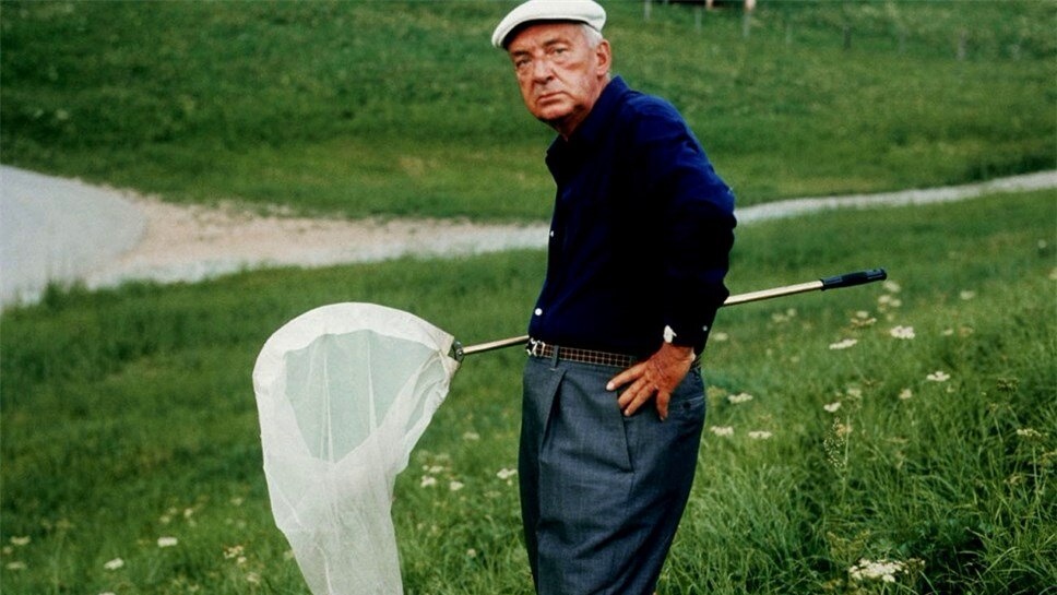 В. Набоков за месяц до падения