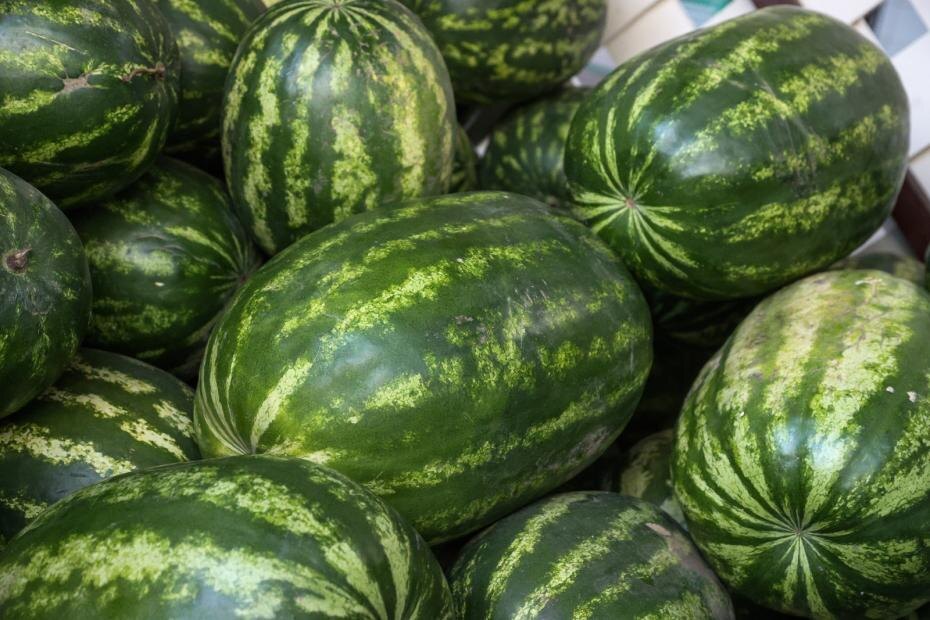    Сергей Булкин/NEWS.ru