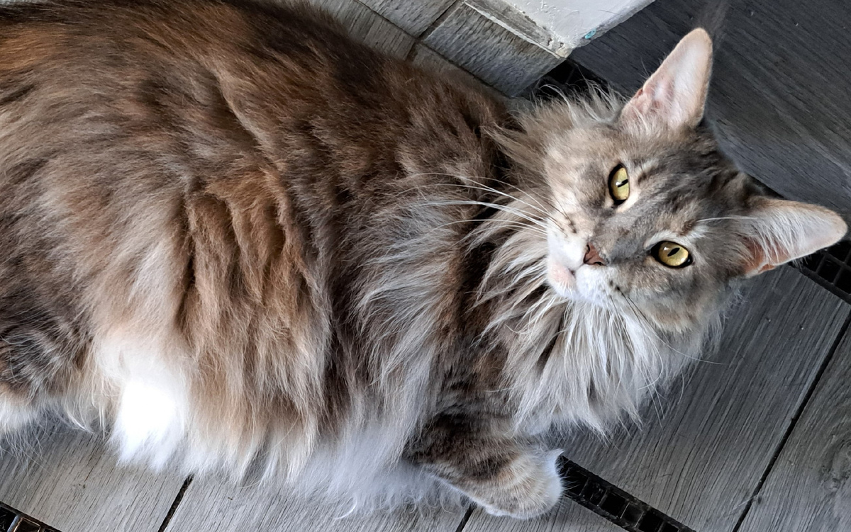 фото автора