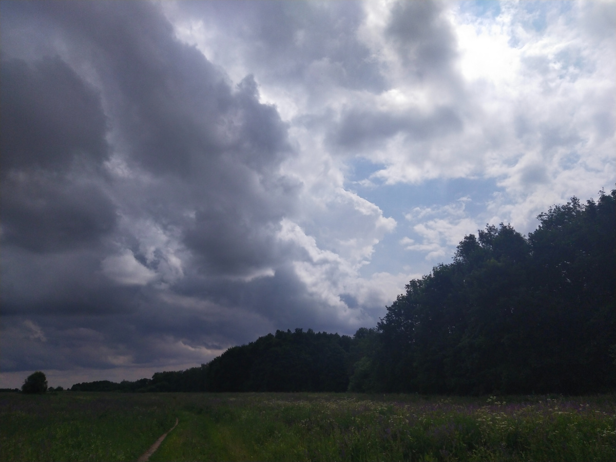 Личное фото